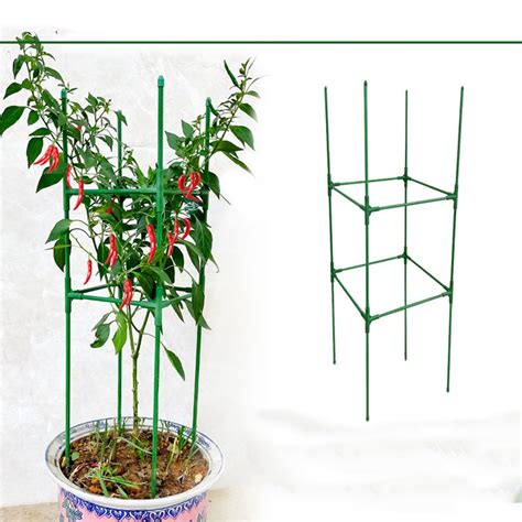 Tuteur en cercles métalliques pour plantes d'intérieur