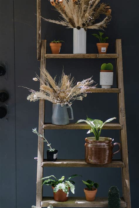 échelle en bois décorée de plantes