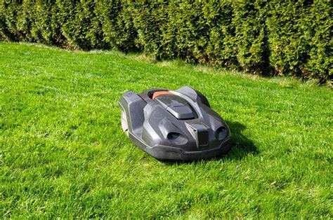 Robot tondeuse AL-KO Robolinho 500 E en action