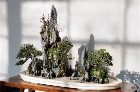 Exposition de penjing traditionnel chinois