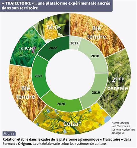 Diagramme des bénéfices des cultures associées avec le triticale