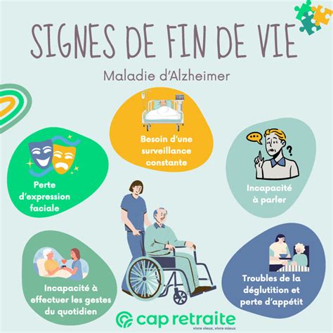 Tableau comparatif des signes de vieillissement et de fin de vie chez le chat