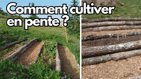 Schéma d'une pente aménagée en terrasses pour la culture du riz et la rétention d'eau