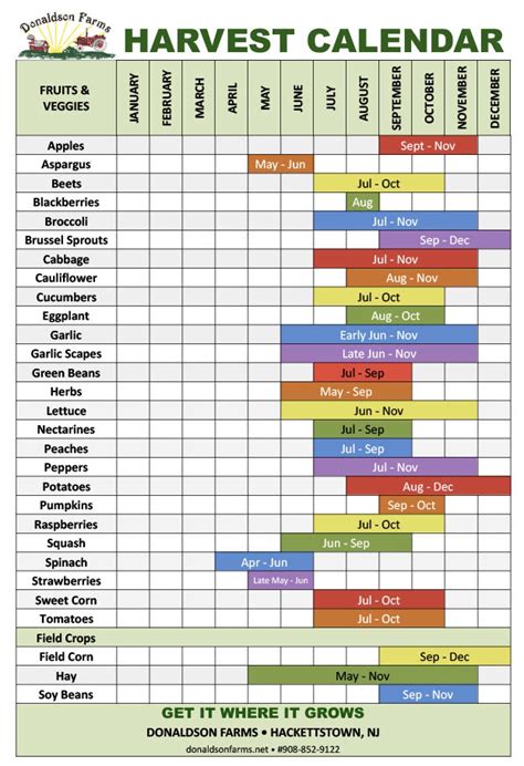 Seasonal wild plant harvest calendar