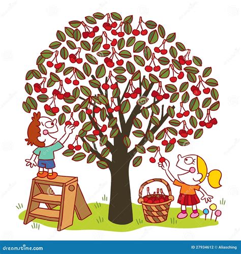 Illustration des règles de cueillette responsable