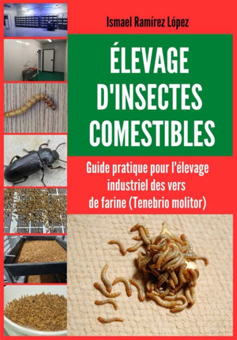 Élevage d'insectes comestibles