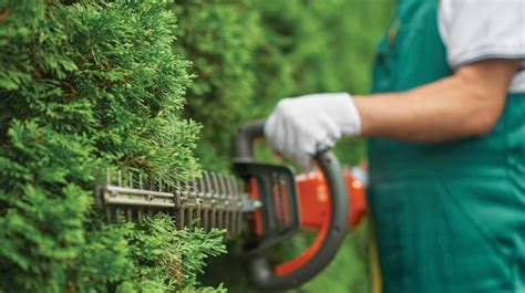 infographie présentant les différents services à domicile (jardinage, ménage, bricolage)