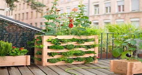 potager en escalier sur un balcon