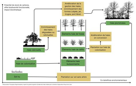 Infographie sur les avantages du Label Haie