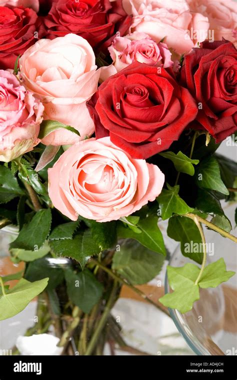 Bouquet d'hortensias roses dans un vase en cristal sur une table élégante