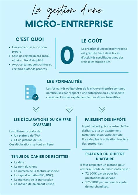 Infographie illustrant la différence entre une unité employeuse et une micro-entreprise