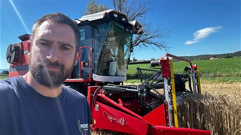 jardinier amateur s'occupant d'une micro-parcelle de blé ancien