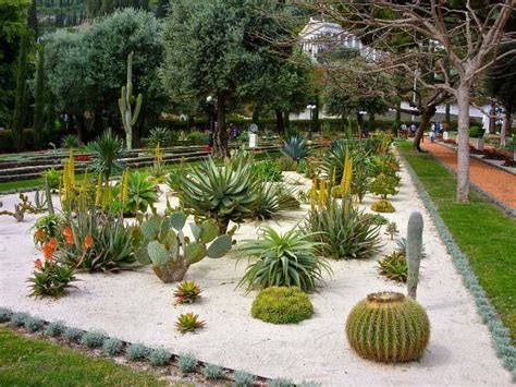 Parterre de gravier avec plantes grasses et graminées