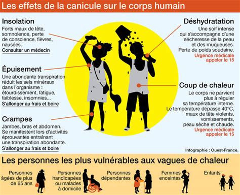 Effets de la canicule sur l'herbe