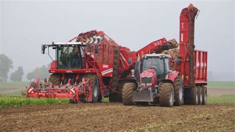 Outil de récolte de betteraves, tel qu'une arracheuse