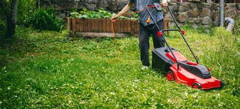 Infographie comparant la largeur de coupe selon la surface du jardin