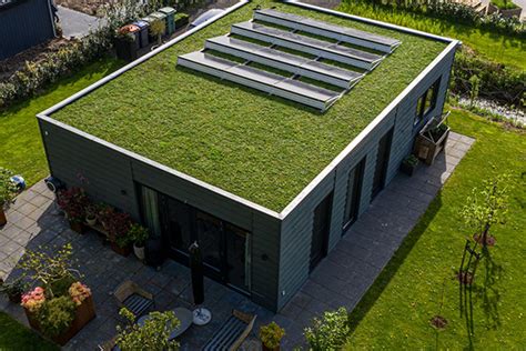 Exemple d'abri de jardin avec toit végétalisé et plantes grimpantes