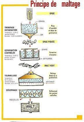 Schéma du processus de maltage