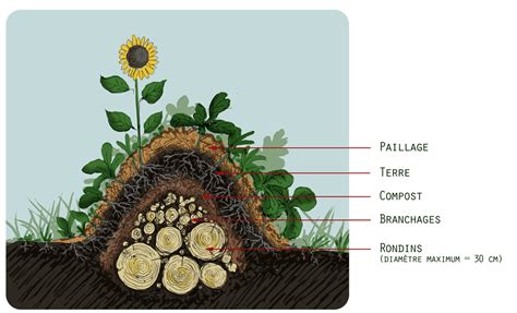 Illustration d'une butte de culture (hugelkultur) avec les différentes couches de bois et de terre