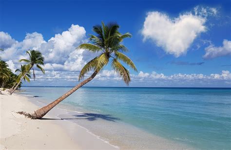 Plage de Boracay avec des cocotiers