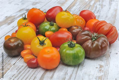 Collection de graines de tomates de différentes formes et couleurs