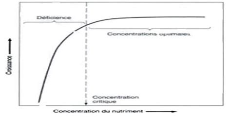 Diagramme comparatif montrant la courbe de libération des nutriments entre engrais liquide et granulés à libération lente