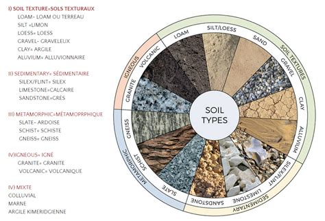 Types de sols et leur impact sur la croissance des plantes