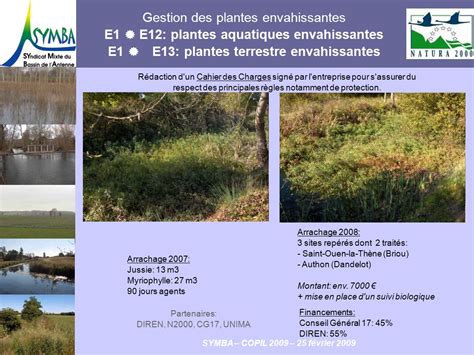 Méthodes d'arrachage de plantes envahissantes