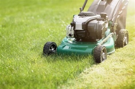tonte de pelouse professionnelle