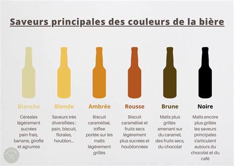 Infographie montrant différentes formes de bouteilles de bière (Longneck, Vichy, Steinie)