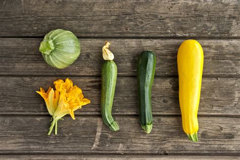 Illustration des différentes variétés de courgettes