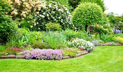 Photo d'un jardin avec des plantes sauvages intégrées à l'aménagement