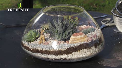 Composition de terrarium avec plantes grasses et cailloux blancs