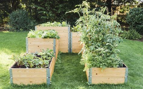Exemple de carré potager surélevé avec différentes profondeurs pour les cultures