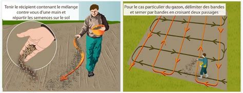 Schéma de semis croisé du gazon