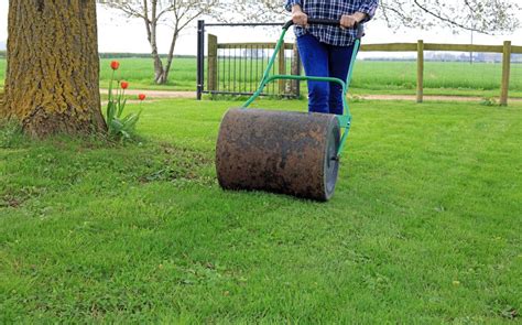 Utilisation d'un rouleau à gazon