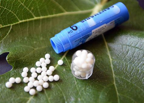 Plantes et remèdes homéopathiques