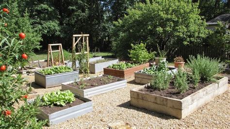 jardin avec plusieurs carrés potagers surélevés organisés