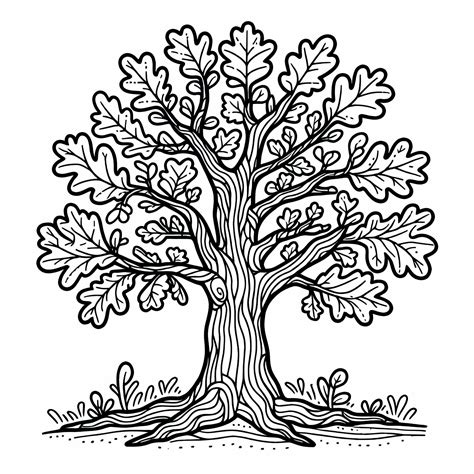 Illustration d'un bonsaï de chêne à l'aspect mature et robuste