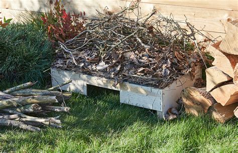 Photo d'un abri à hérissons dans un potager