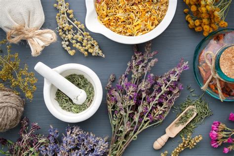 Plantes médicinales pour les soins de la peau