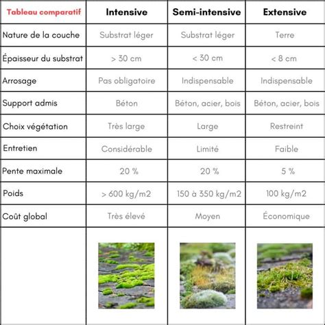 Schéma comparatif des différents types d'eau pour plantes