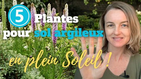 plantes vivaces pour sol argileux