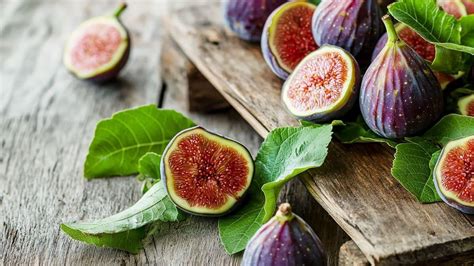 Graphique montrant les cycles de récolte des figues bifères
