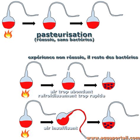 Schéma technique montrant le processus de pasteurisation et de mise en conserve des fruits