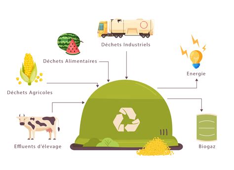 infographie montrant le recyclage des déchets organiques en engrais