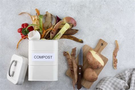 Infographie comparant les différents types d'activateurs de compost : biologiques, naturels et minéraux