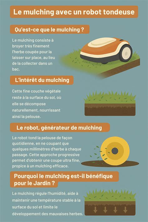 Infographie comparant les avantages et inconvénients du mulching selon les saisons