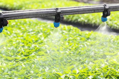 Système d'irrigation en micro-aspersion