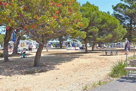 Vue panoramique du camping Les Abricotiers au cœur de la végétation méditerranéenne